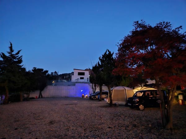 오후 근무 안 하고 놀러갔다 왔습니다! - 팀빌딩 활동 후기 [피앤피시큐어]